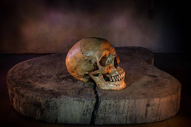 istock Right side of skull on the old block, 484556970