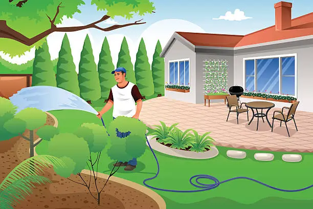 Vector illustration of Man watering his grass and garden