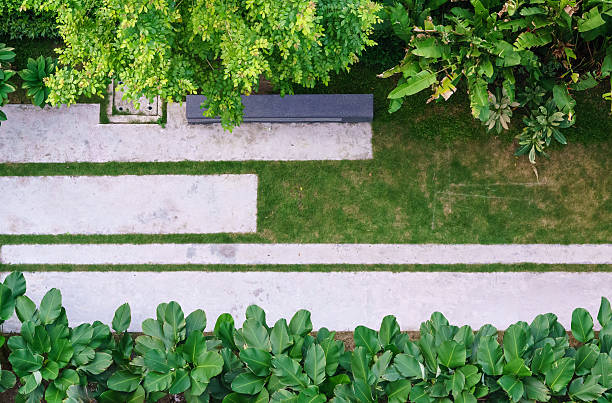 istock Top view of garden 484557580