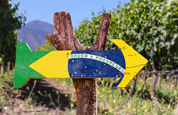 istock Brazil Flag wooden sign with vineyard background 484557590
