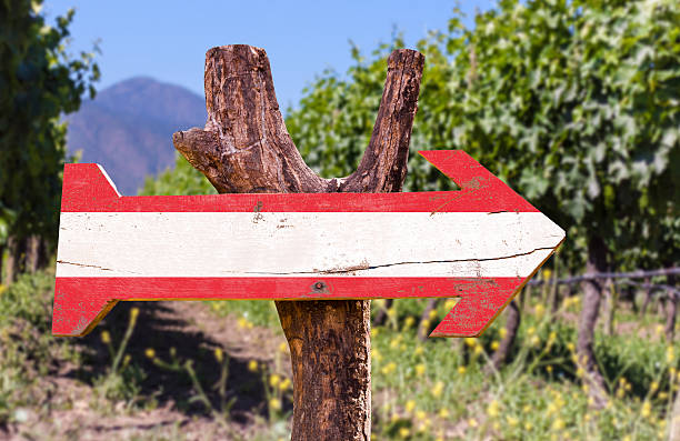 istock Austria flag wooden sign with winery background 484557738