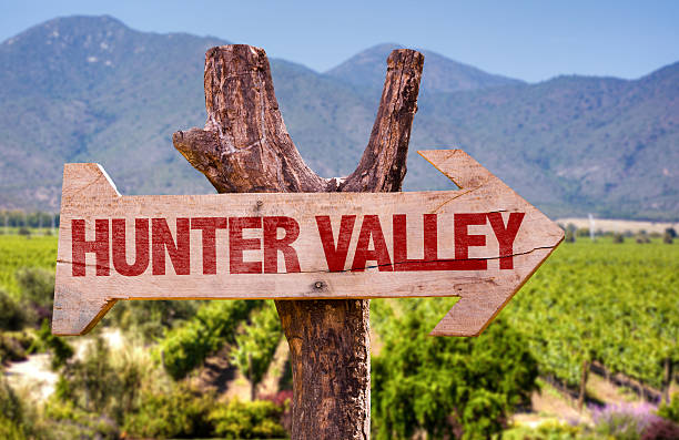 Hunter Valley wooden sign with winery background