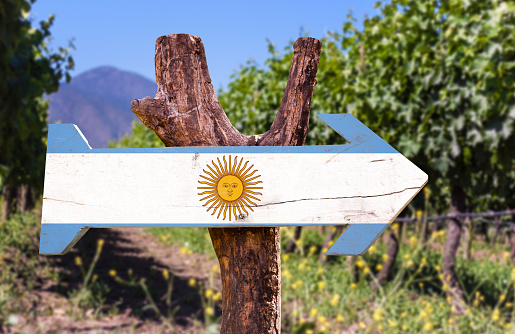 Argentina Flag wooden sign with winery background