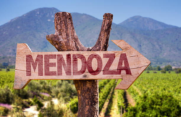 istock Mendoza wooden sign with winery background 484558424