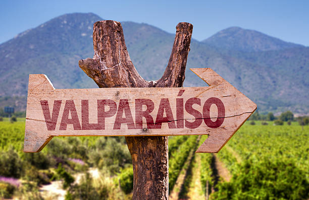 istock Valparaiso wooden sign with winery background 484559532