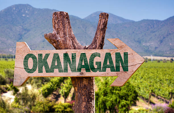 okanagan sinal de madeira com fundo de estabelecimento vinícola - okanagan valley imagens e fotografias de stock