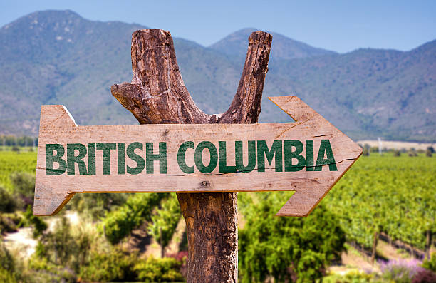 istock British Columbia wooden sign with winery background 484559544
