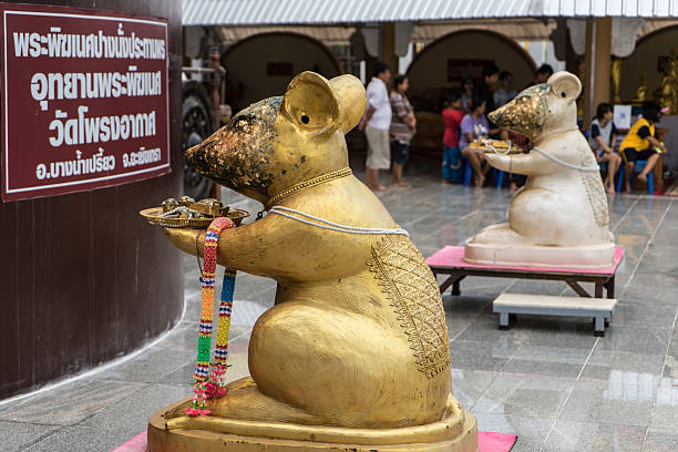 The Servants Ganesha Mouses are acting as servants of Ganesha in Buddhism temple ganesha god thailand india stock pictures, royalty-free photos & images