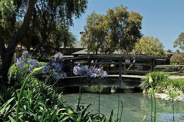 Zen Garden stock photo