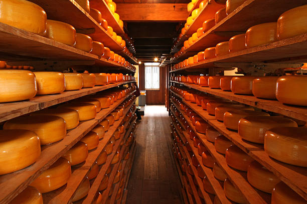 オランダ産チーズ工場 - dutch cheese 写真 ストックフォトと画像
