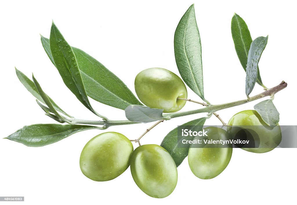 olive's branch with leaves and olives olive's branch with leaves and olives on white background Branch - Plant Part Stock Photo