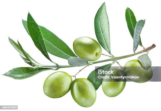 Olives Branch With Leaves And Olives Stock Photo - Download Image Now - Branch - Plant Part, Food, Freshness