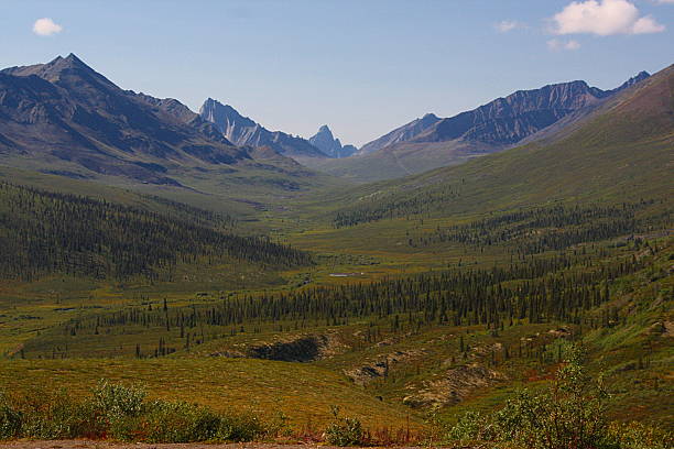 istock Tombstone Territory Park - Yukon, Canada 484561589