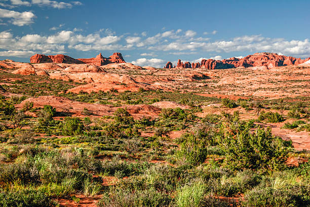 istock Beautiful rock formations in Arches canyon 484561965