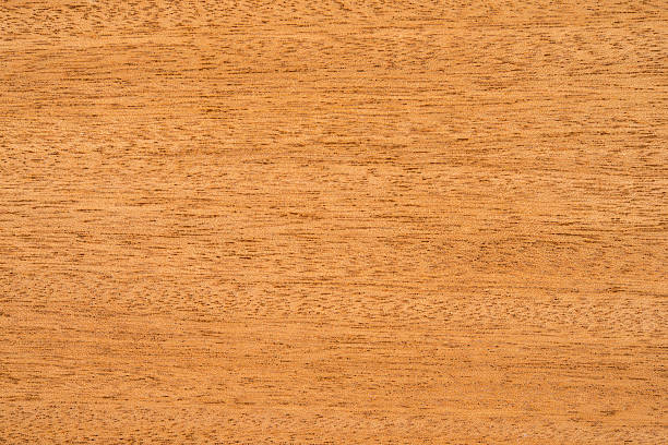 istock Honduran mahogany wood grain / texture. 484562730