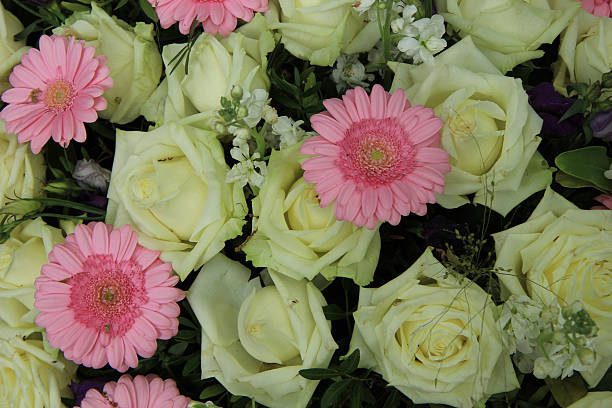 istock pink gerberas and white roses - wedding flowers 484565123