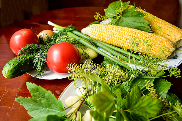 tomaten, gurken, knoblauch und dill, eingelegtem gemüse und mais. - eggplant group of objects raw food eating stock-fotos und bilder