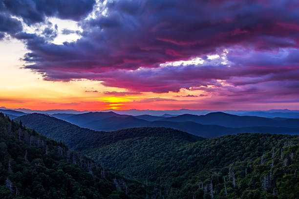istock Sunrise in Blue Ridge Parkway 484567364
