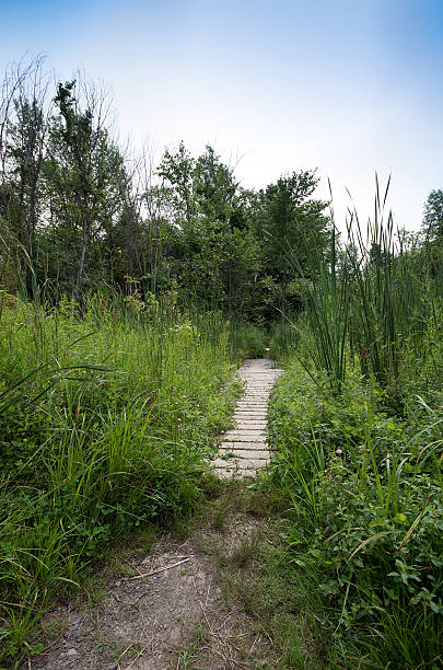 istock Point AuRoche State Park New York 484569738
