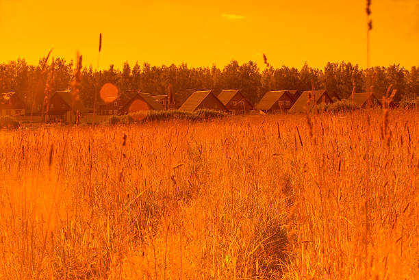 Agricultural landscape in warm tone with cottage village