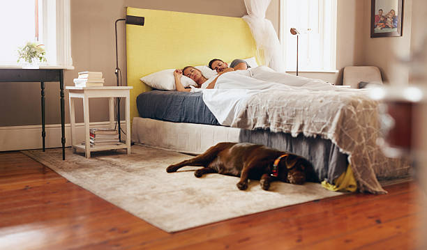 giovane coppia dormire comodamente sul letto con il cane sulla mappa - comfortably foto e immagini stock