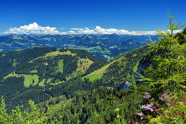 Mountains in Bavaria.Germany. stock photo