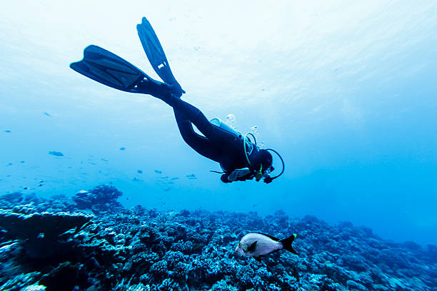 taucher schwimmen über korallenriff in tiputa pass - deep sea diving stock-fotos und bilder