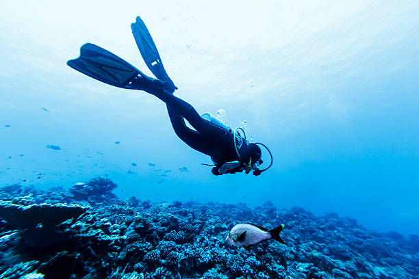 A DSLR underwater photo of a woman scuba diving in Tiputa Pass, Rangiroa, French Polynesia. She is swimming over a reef and there are many small fishes all around. It is possible to sea the surface water level many meters above her. 