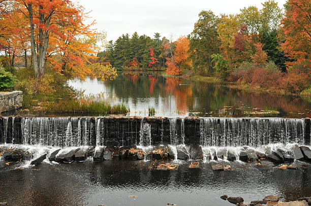 Dam and Foliage stock photo