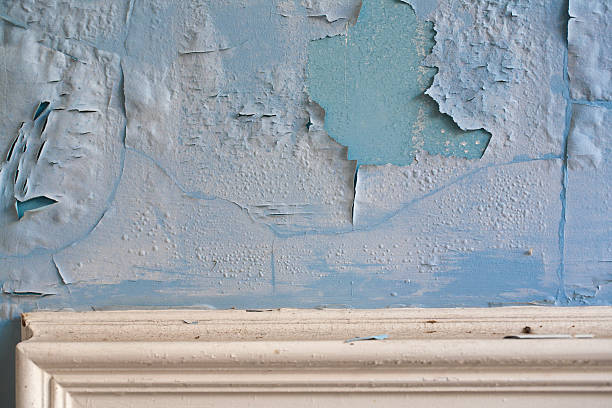 peeling de peinture sur un vieux mur au-dessus de moulures en plâtre - paint lead peeling peeled photos et images de collection