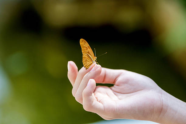 istock Yellow butterfly sitting on the girl hand. 484579009