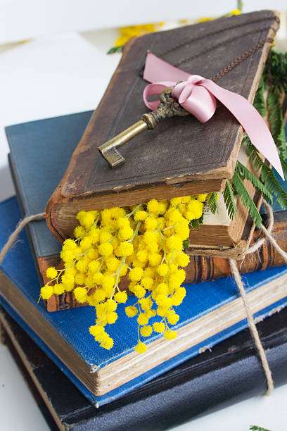 istock pile of old books 484579414