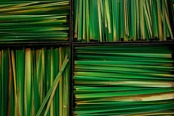 Lemon Grass Lemon Grass seperated into four boxes extreme close up of blades of grass stock pictures, royalty-free photos & images