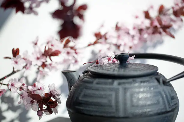 traditional Japanese teapot with cherry blossom flowers for zen and relaxation