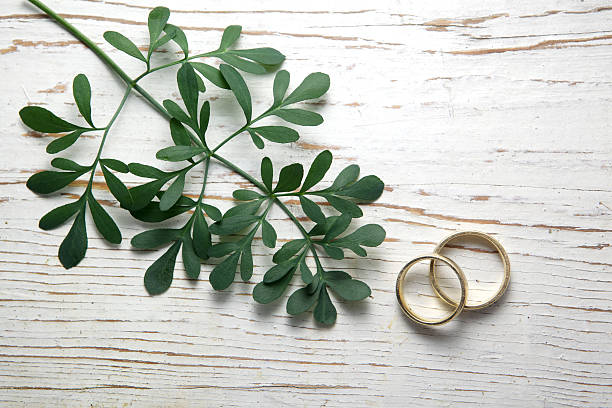 istock Rue herb plant. Lithuanian traditional plant 484580782