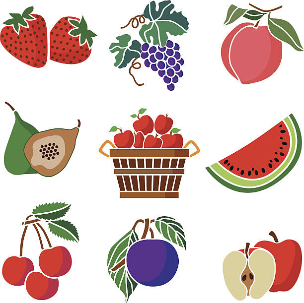 illustrazioni stock, clip art, cartoni animati e icone di tendenza di frutta con apple bushel - fig apple portion fruit