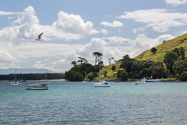 istock The Mount at Tauranga in NZ 484581139