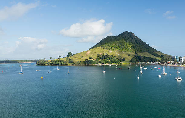 o monte de tauranga, nova zelândia - tauranga imagens e fotografias de stock