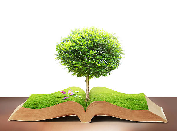 istock book of nature with grass and tree 484582501