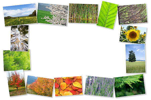 istock Collage of many nature photos 484582938