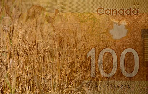 Concept of making money agriculture