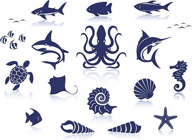 sea life icon set - sarmal deniz kabuğu illüstrasyonlar stock illustrations