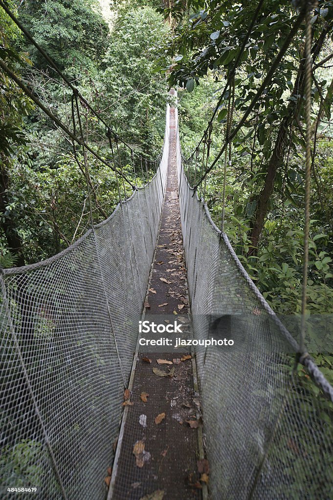 Aerial Walkway in Costa Rica Rainmaker Aerial Walkway,  Costa Rica Stock Photo