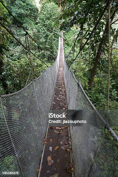 Aerial Walkway In Costa Rica Stock Photo - Download Image Now - Costa Rica, Quepos, Bridge - Built Structure