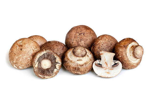 istock Swiss Brown Mushrooms Isolated on White 484587988