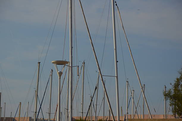 Masts and boats in a Harbor