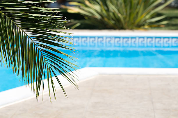 istock Vacation background with swimming pool and palm leaf 484591078