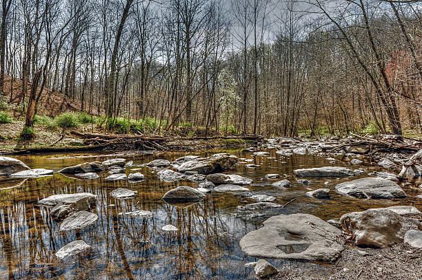 istock Quiet mountain stream in western Maryland in Autumn 484591242
