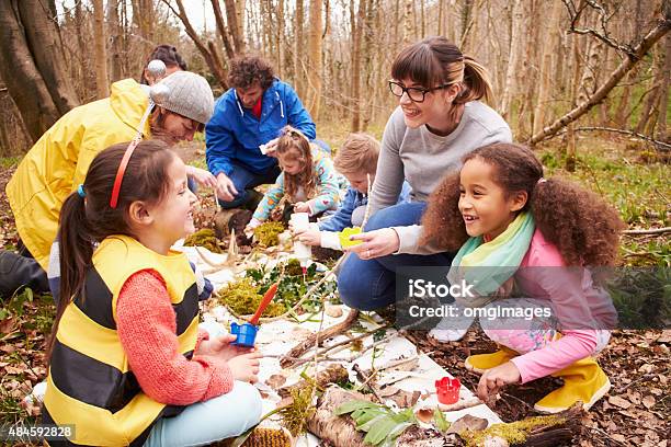 Group Looking For Minibeasts At Activity Centre Stock Photo - Download Image Now - Child, Learning, Outdoors