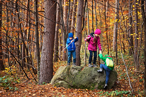 Three kids hiking in autumn forest. Kids are climbing a huge boulder. Sister is helping her brother to climb. Kids are wearing backpacks and are holding sticks.